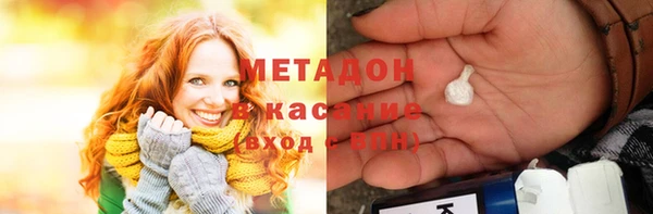 прущие грибы Новый Уренгой
