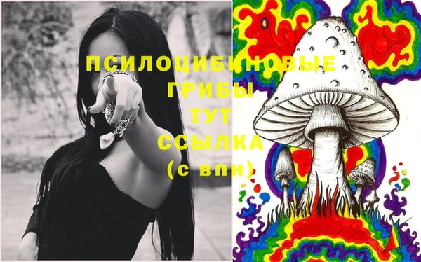 каннабис Дмитриев