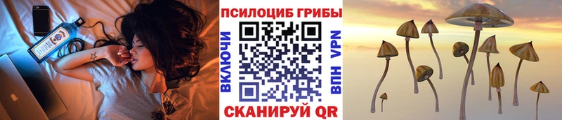 ссылка на мегу ссылка  Ершов  Псилоцибиновые грибы Psilocybe 